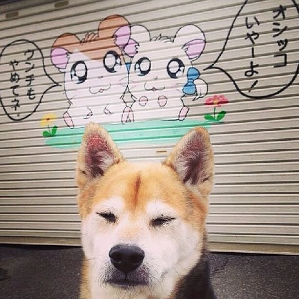 东亚杯中国女足夺冠 球迷激情四射，中国女足东亚杯首胜