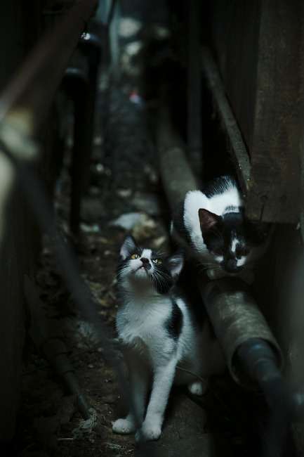 中国女篮全场紧逼战术取得良好效果，中国女篮的比赛