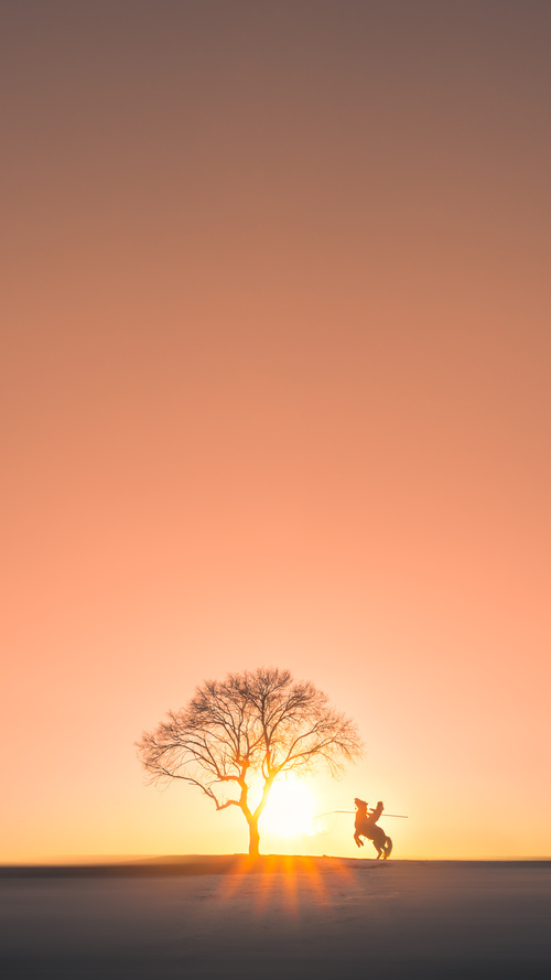 俱乐部管理层稳定性对成绩影响明显,俱乐部型管理风格是什么