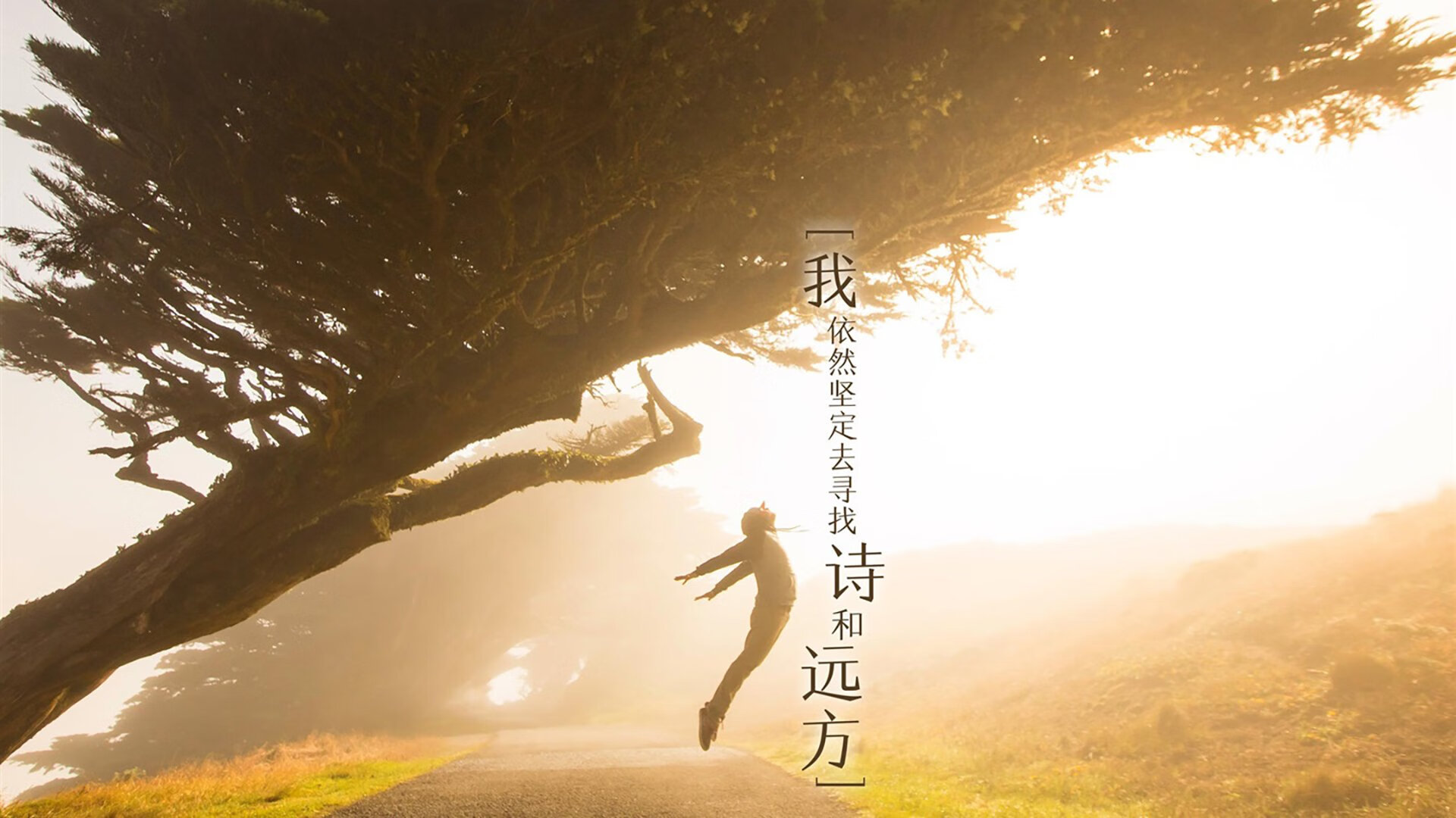 经典逆转案例中教练决策对赛场影响力分析，教练技术逆境工作坊