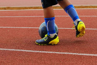 Kaiyun APP-未来潜力：年轻球员的崛起路径，年轻球员是中国足球未来发展的基础