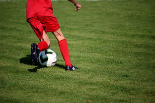 开云官网在线-篮球运动员心理健康服务体系研究，篮球运动员心理健康服务体系研究论文