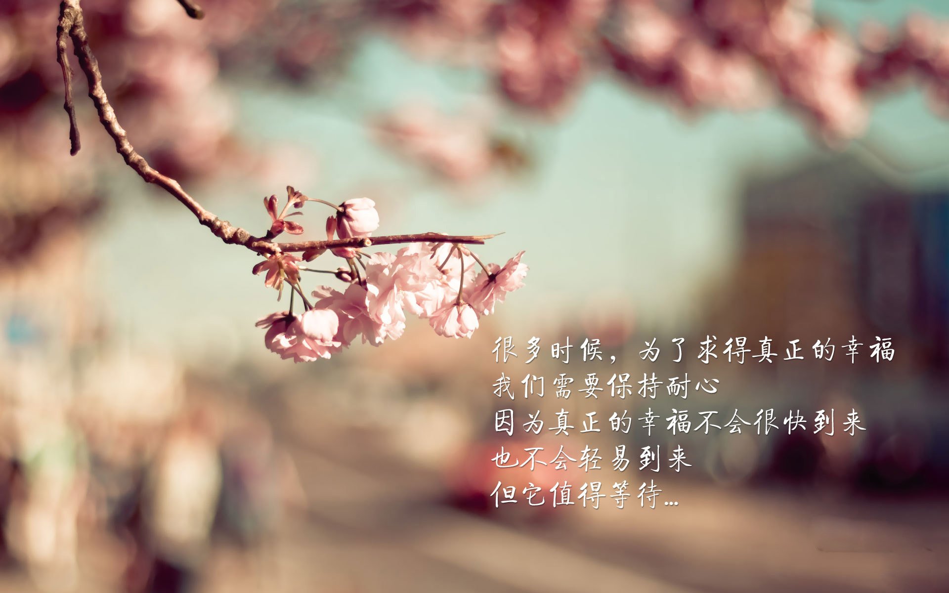 开云平台-俱乐部管理层稳定性对成绩影响明显，俱乐部型管理风格是什么