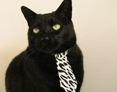 “费尔南多·比亚尔巴的突破性表现，让阿根廷橄榄球焕发新生”